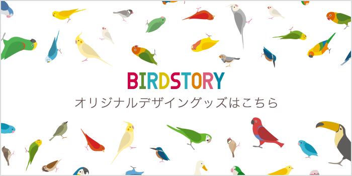 BIRDSTORY ꥸʥ륰å
