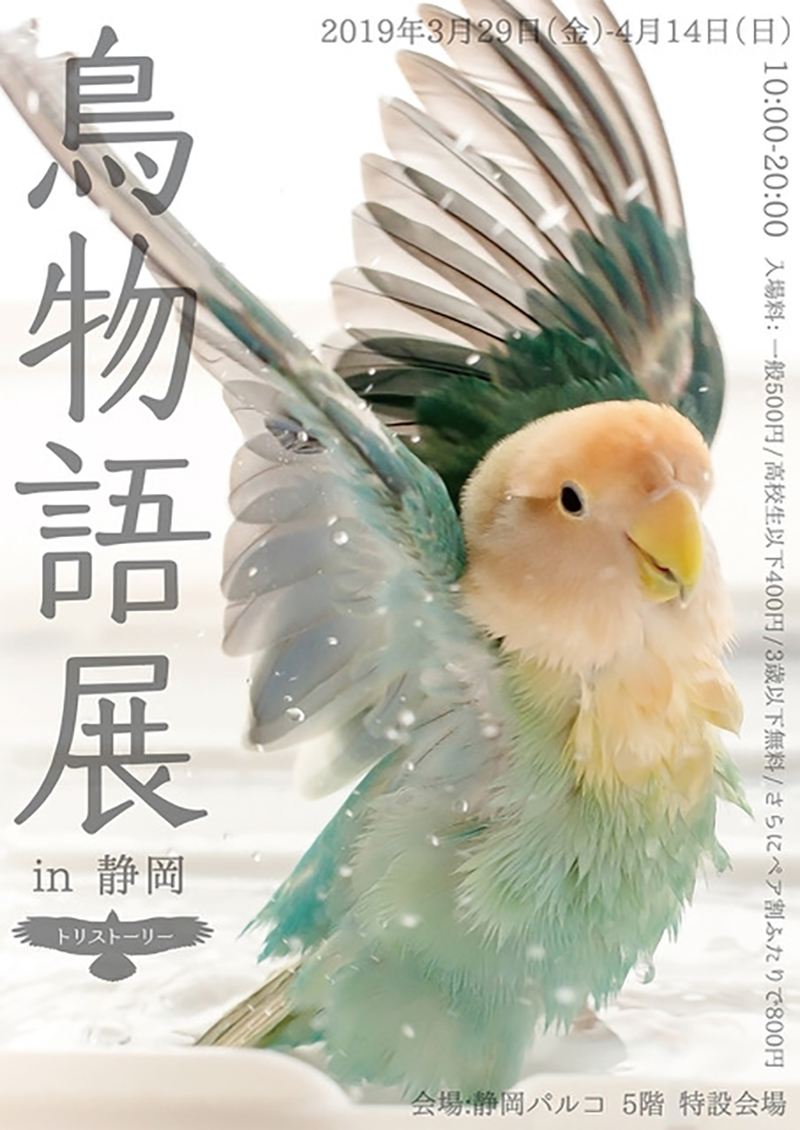 鳥物語トリストーリー展 in 静岡