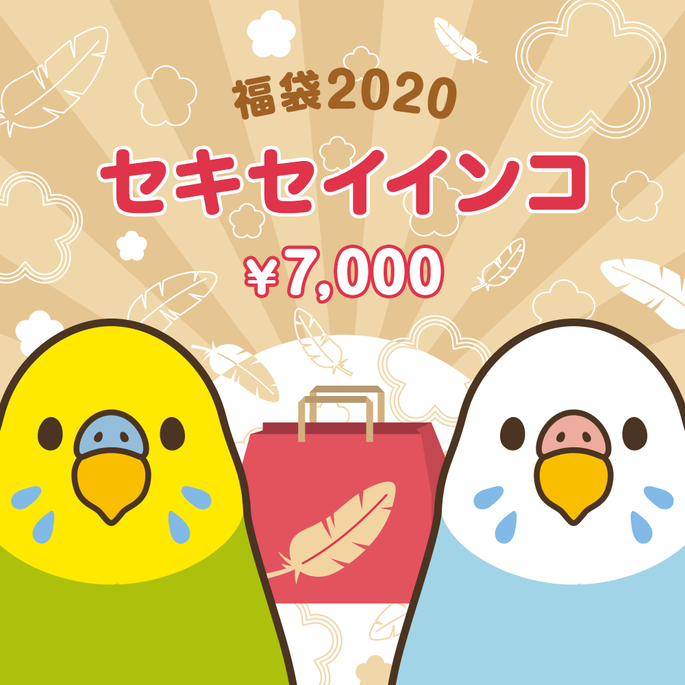 福袋セキセイインコ2020年