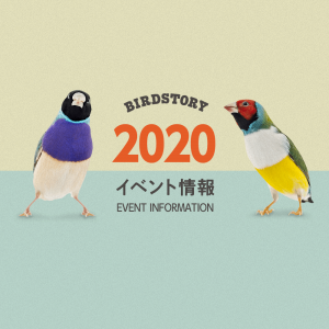 イベント情報 2020年 デザインフェスタや鳥フェスなど