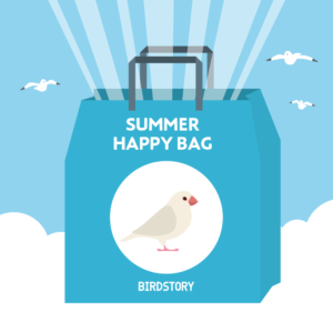 サマーハッピーバッグ 夏の福袋 BIRDSTORY ブンチョウ