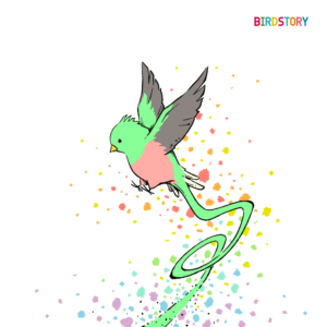 ケツァール quetzal コスタリカ イラスト BIRDSTORY