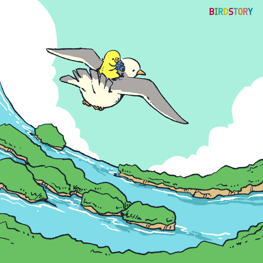 日本三景の日 7月21日のイラスト Birdstory