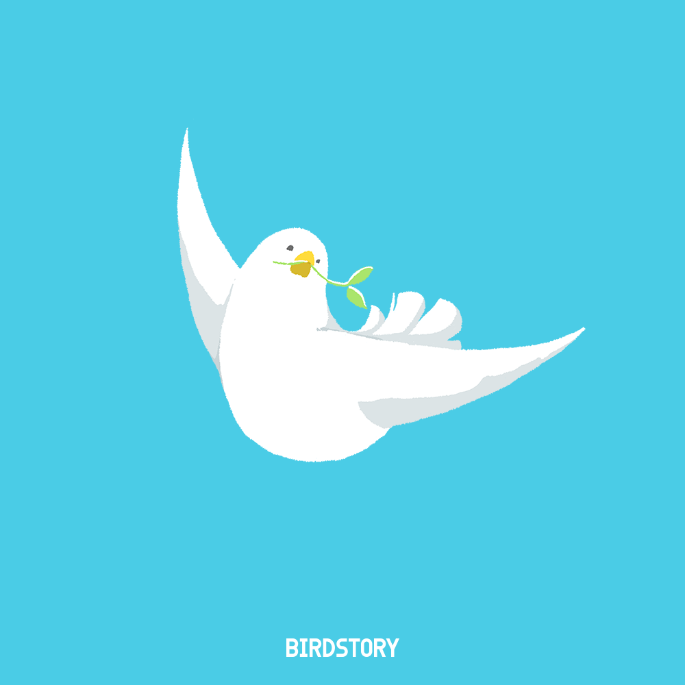 広島平和記念日 BIRDSTORY 平和を願って