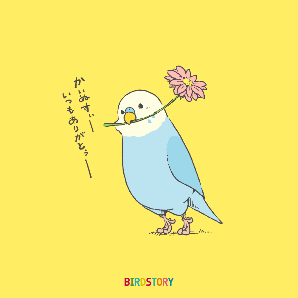 花の日 flower セキセイインコ budgerigar イラスト