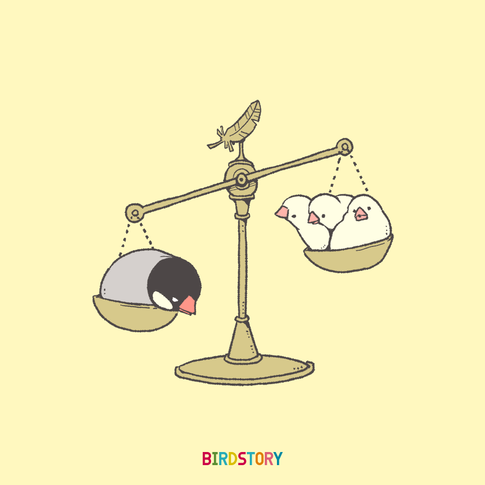 世界の法の日 文鳥 ジュウシマツ 天秤 イラスト 法律