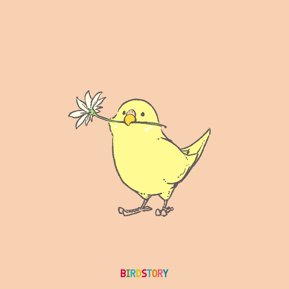 世界動物の日 天使 セキセイインコ イラスト お花