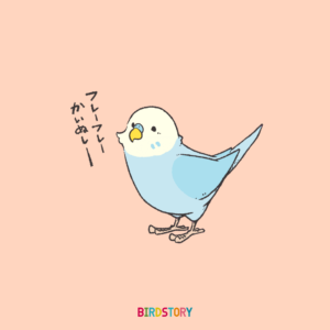 Birdstory 鳥さんのオリジナルデザイングッズ