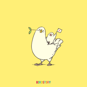 ハト 白文鳥 平和 文化の日 BIRDSTORY