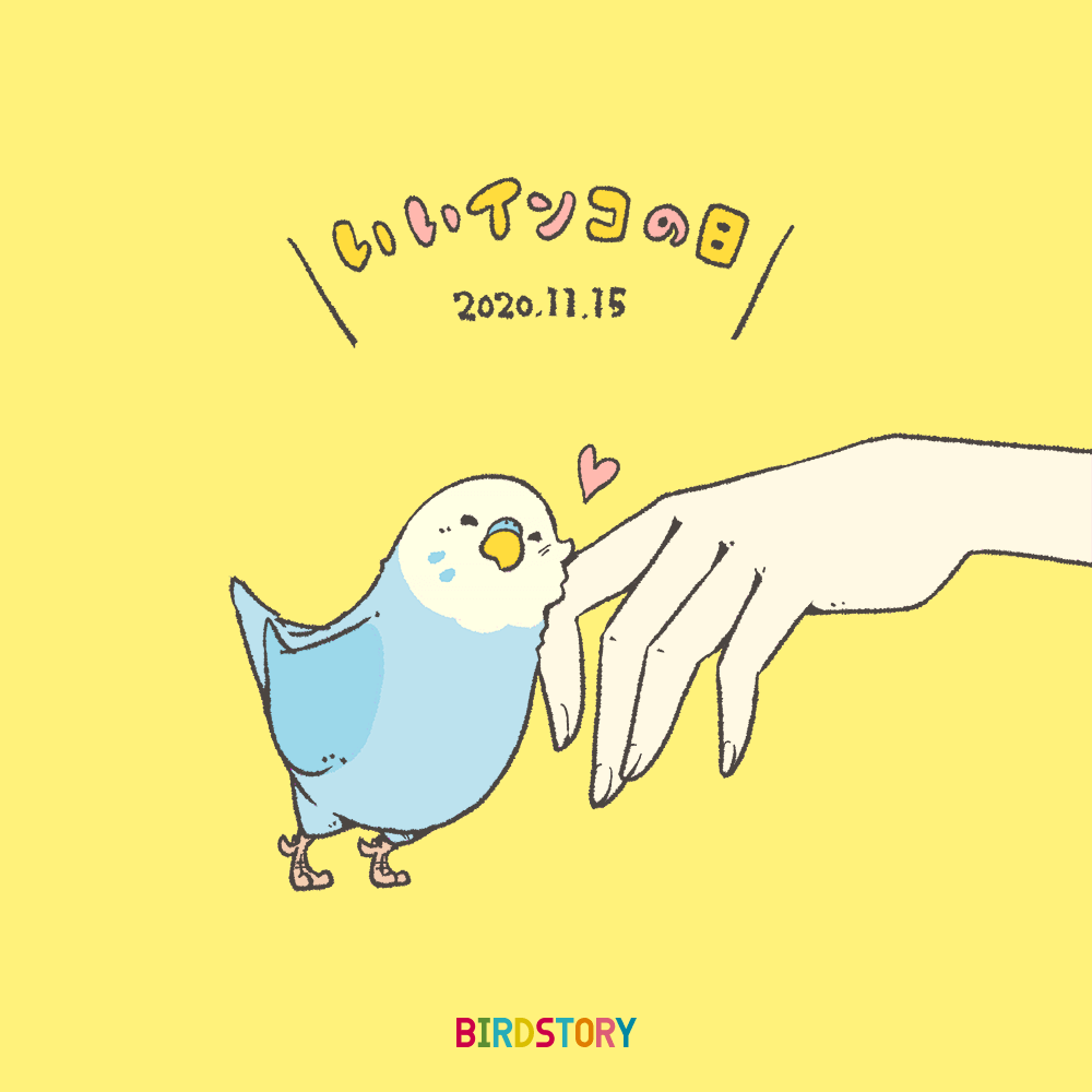 いいインコの日 11月15日のイラスト Birdstory