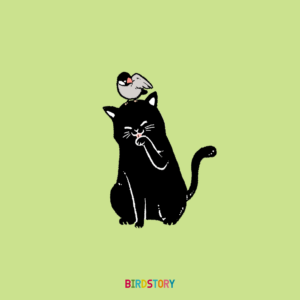 夏目漱石 忌日命日の12月9日のイラスト 猫と文鳥