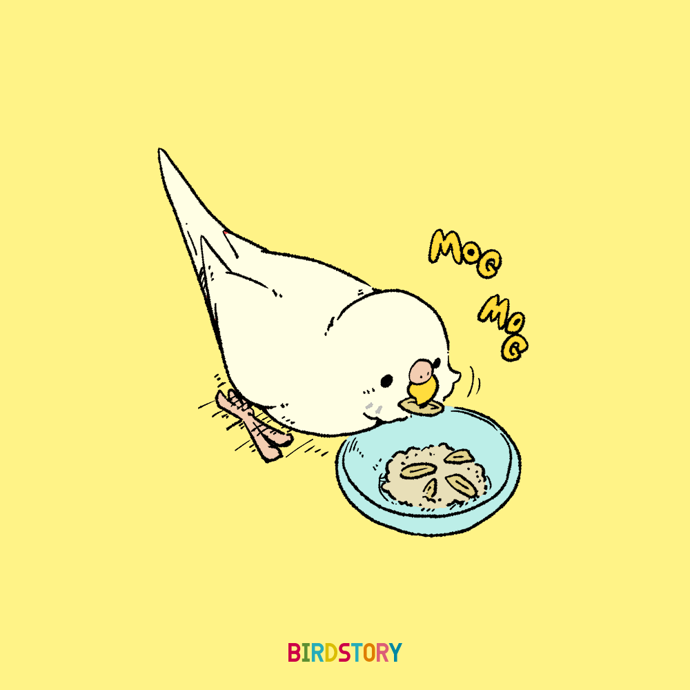 インコ イラスト かわいい