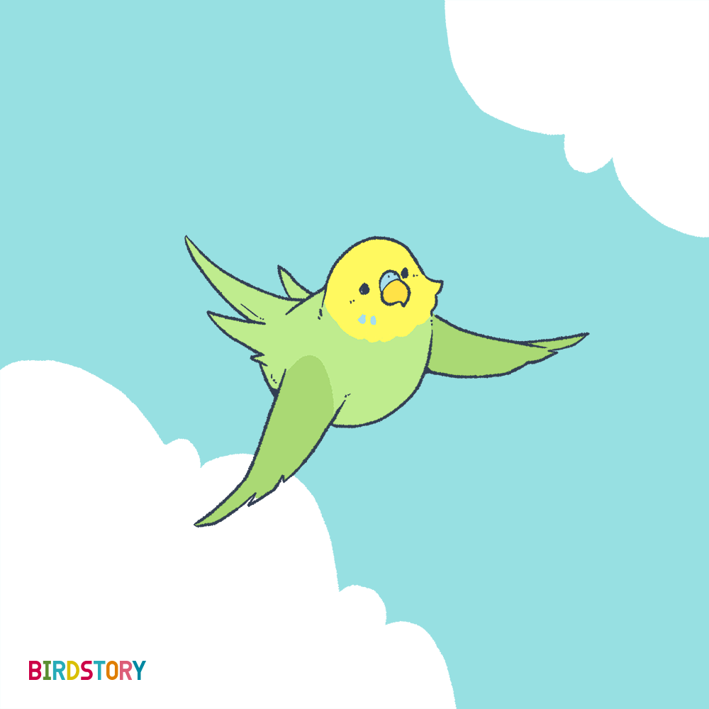 100以上 インコ 飛ぶ 鳥 イラスト かわいい 2773