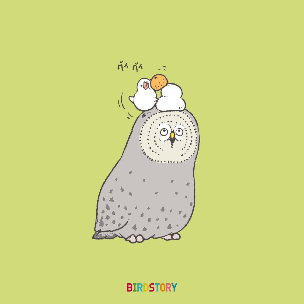 福の日 12月29日のイラスト Birdstory