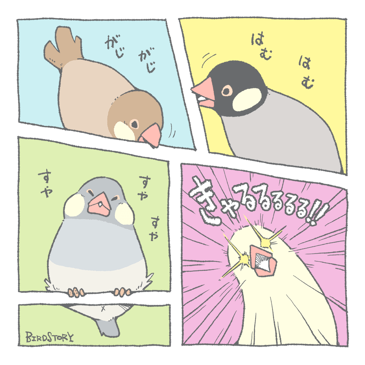 漫画の日 ブンチョウマンガ BIRDSTORY