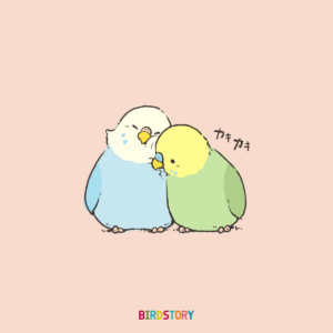 読み物一覧 Birdstory