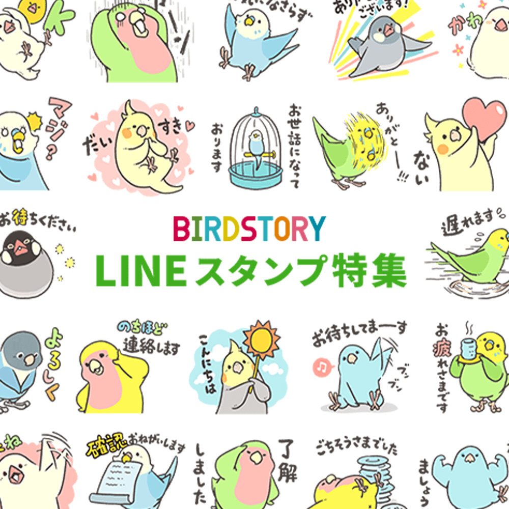 Lineスタンプ特集 Birdstory