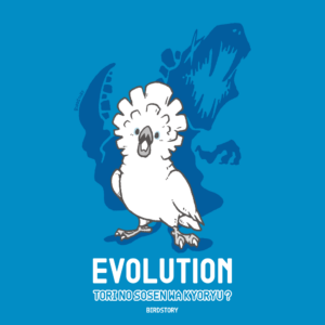 鳥と恐竜 EVOLUTION 進化論 タイハクオウム