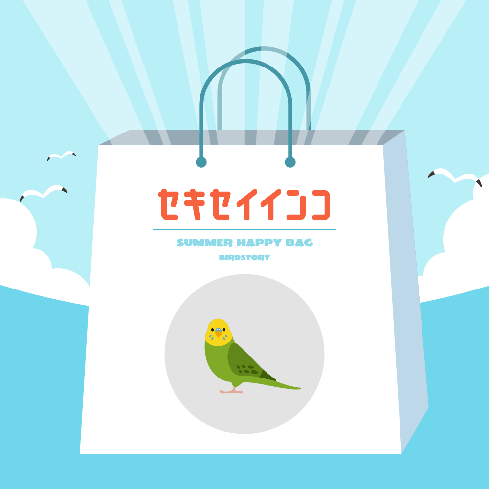 BIRDSTORY夏の福袋2024 セキセイインコ