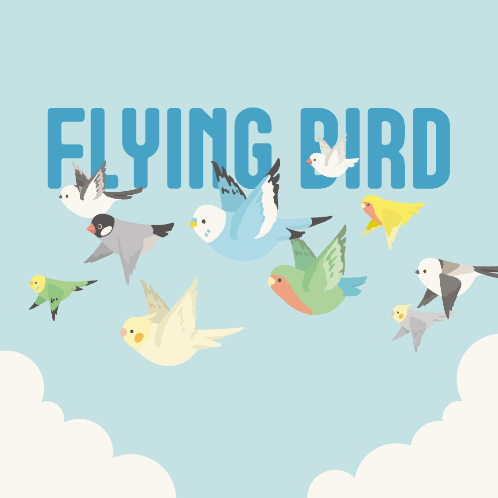 FLYING BIRD フライングバード｜BIRDSTORY