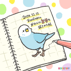 書籍BIRDSTORYのかわいいとりの描きかた帖