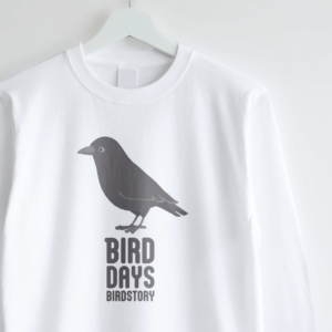 Tシャツ ハシボソガラス 野鳥 カラス