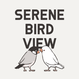 SERENE BIRD VIEW 穏やかな鳥の景色