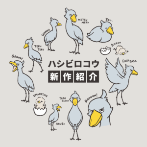 ハシビロコウ新作紹介