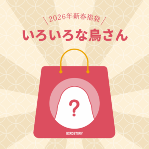 BIRDSTORY福袋2026 いろいろな鳥さんグッズがつまったHAPPY BAG 2026