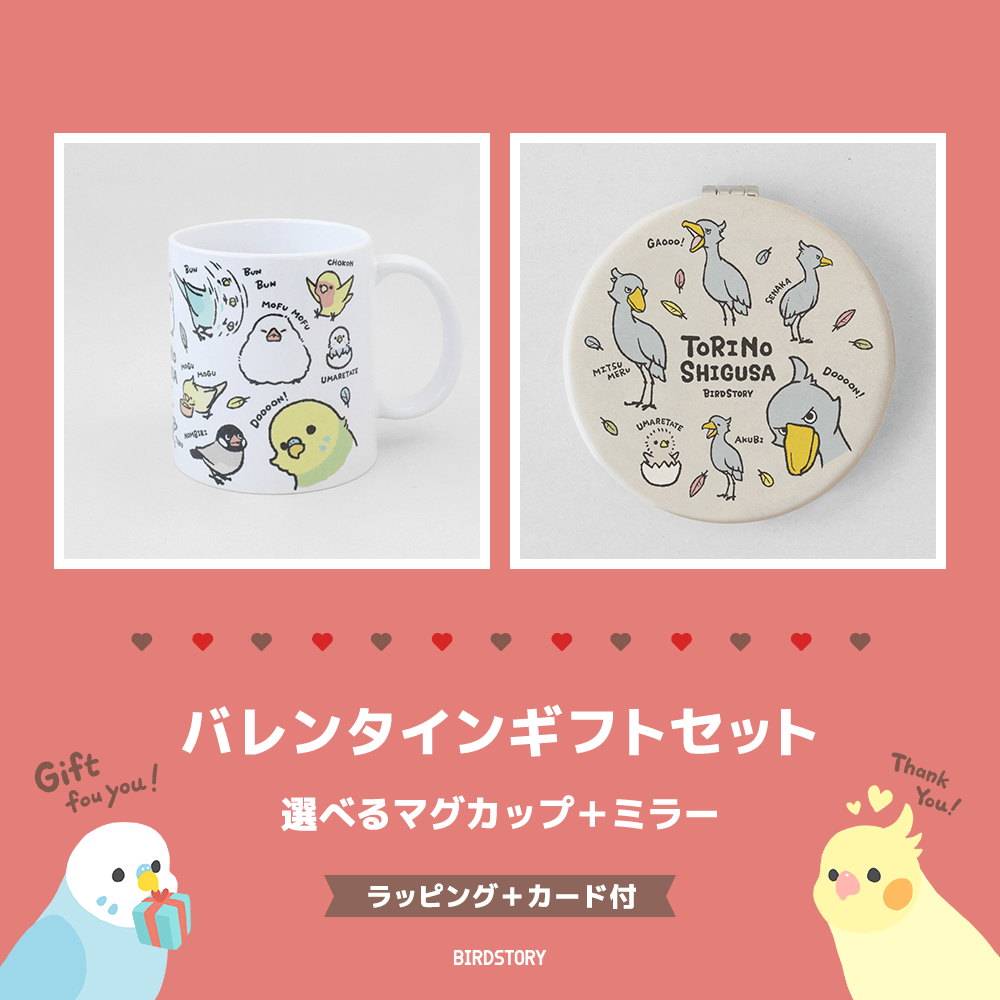 バレンタインギフトセット（選べるマグカップ＋ミラー＋カード付）