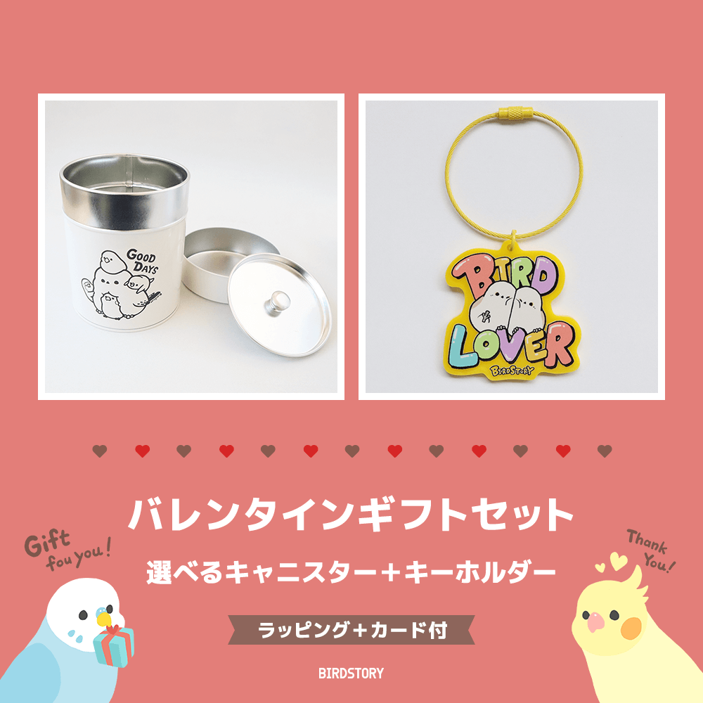 バレンタインギフトセット（選べるキャニスター＆キーホルダー＋カード付）