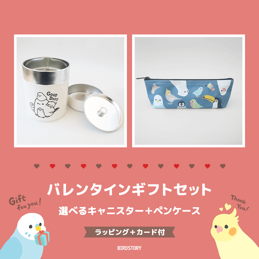 バレンタインギフトセット（選べるキャニスター＆ペンケース＋カード付）