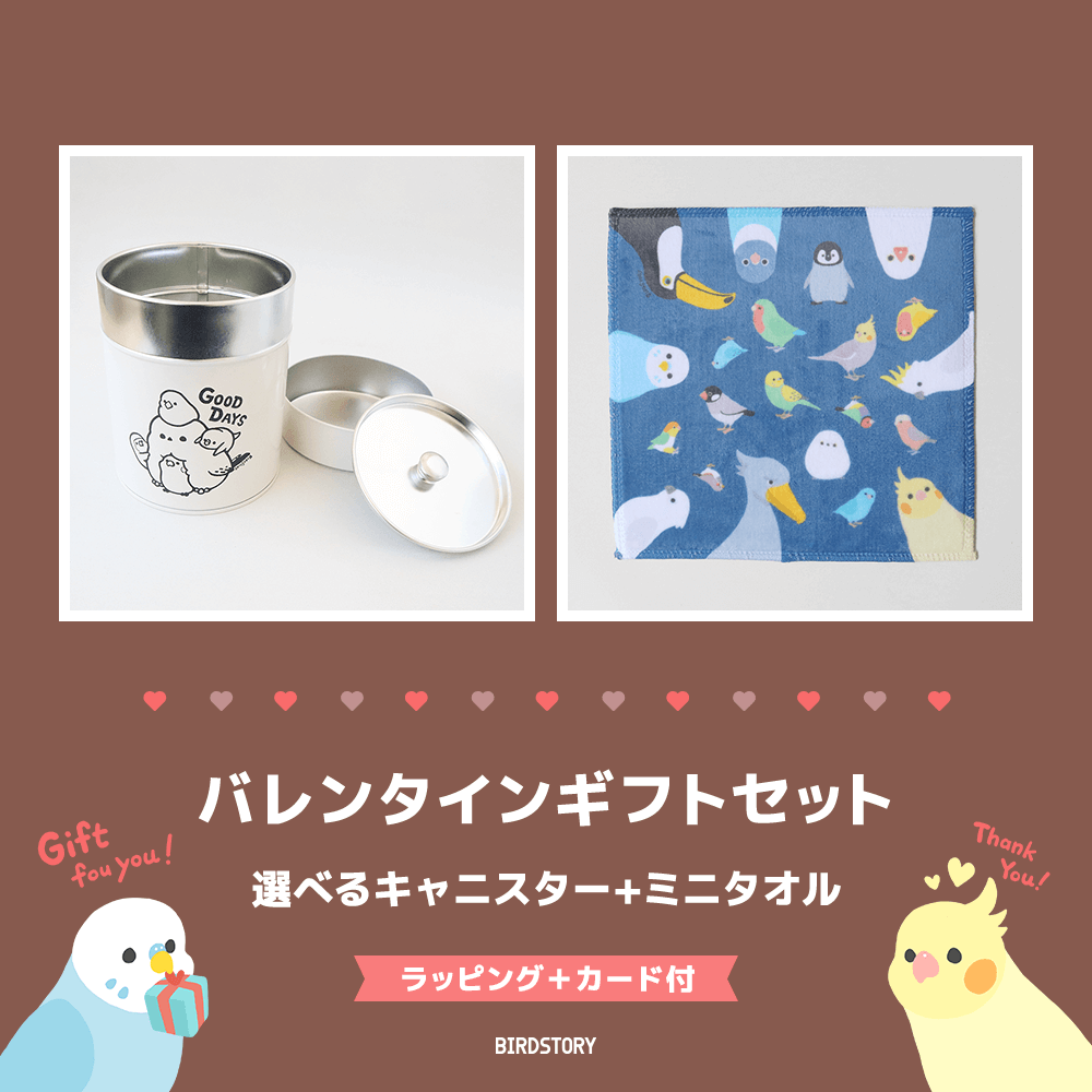 バレンタインギフトセット（選べるキャニスター＆ミニタオル＋カード付）