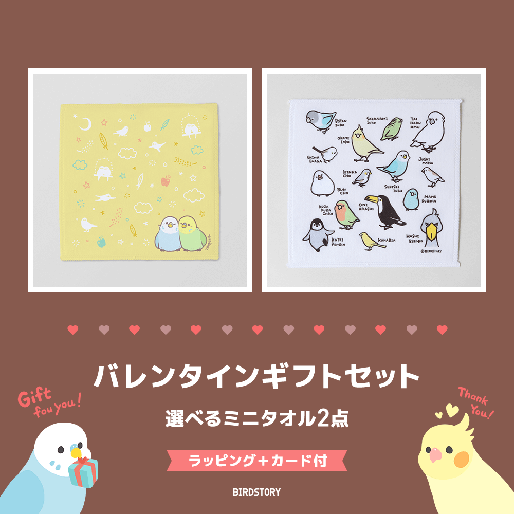 バレンタインギフトセット（選べるミニタオル2点＋カード付）