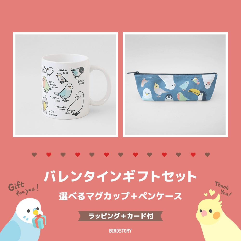 バレンタインギフトセット（選べるマグカップ＋ペンケース＋カード付）
