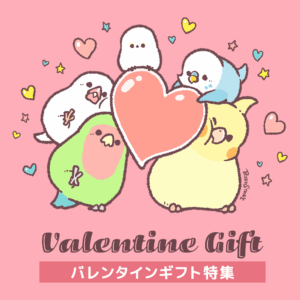 バレンタインデー特集 VALENTINE GIFT
