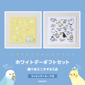 ホワイトデーギフトセット（選べるミニタオル2点＋カード付）