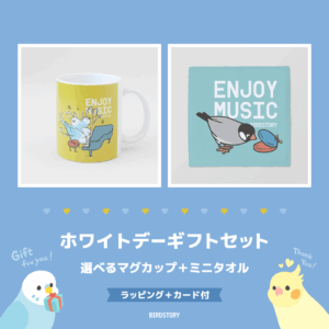 ホワイトデーギフトセット（選べるマグカップ＋ミニタオル＋カード付）