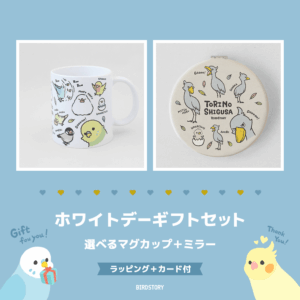 ホワイトデーギフトセット（選べるマグカップ＋ミラー＋カード付）