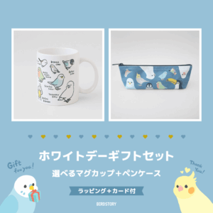 ホワイトデーギフトセット（選べるマグカップ＋ペンケース＋カード付）