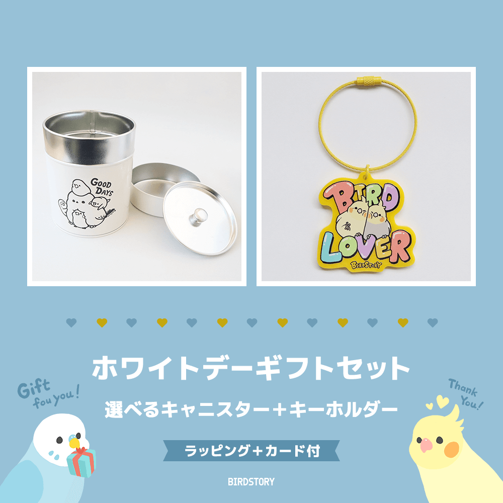 ホワイトデーギフトセット（選べるキャニスター＆キーホルダー＋カード付）