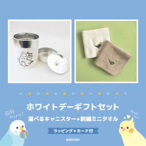ホワイトデーギフトセット（選べるキャニスター＆刺繍ミニタオル＋カード付）