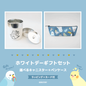ホワイトデーギフトセット（選べるキャニスター＆ペンケース＋カード付）