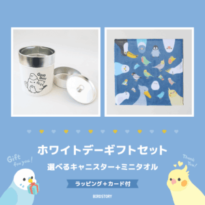 ホワイトデーギフトセット（選べるキャニスター＆ミニタオル＋カード付）