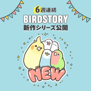 6週連続！新作シリーズ公開 NEWデザイン