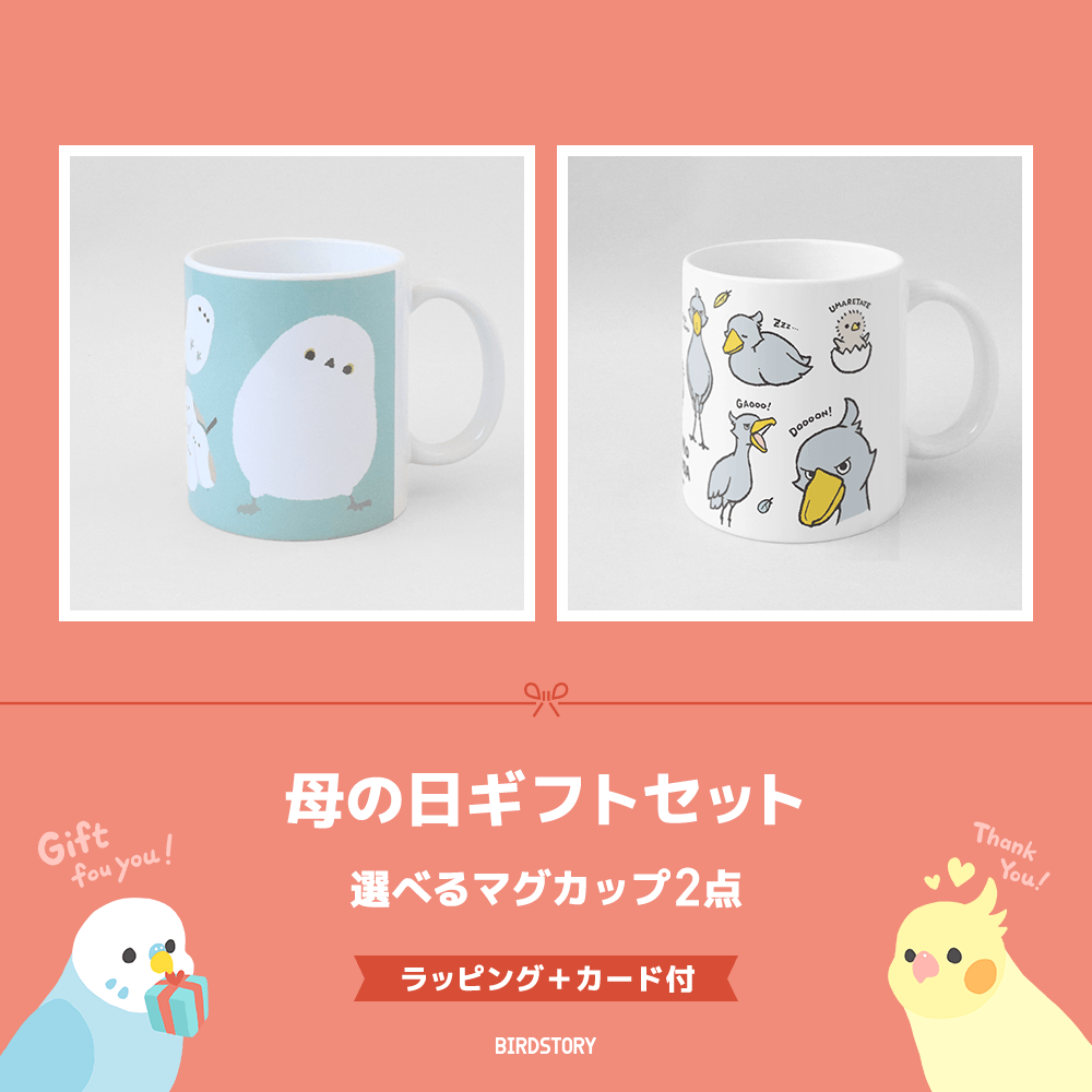 母の日ギフトセット（選べるマグカップ2点＋カード付）