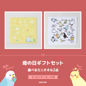 母の日ギフトセット（選べるミニタオル2点＋カード付）