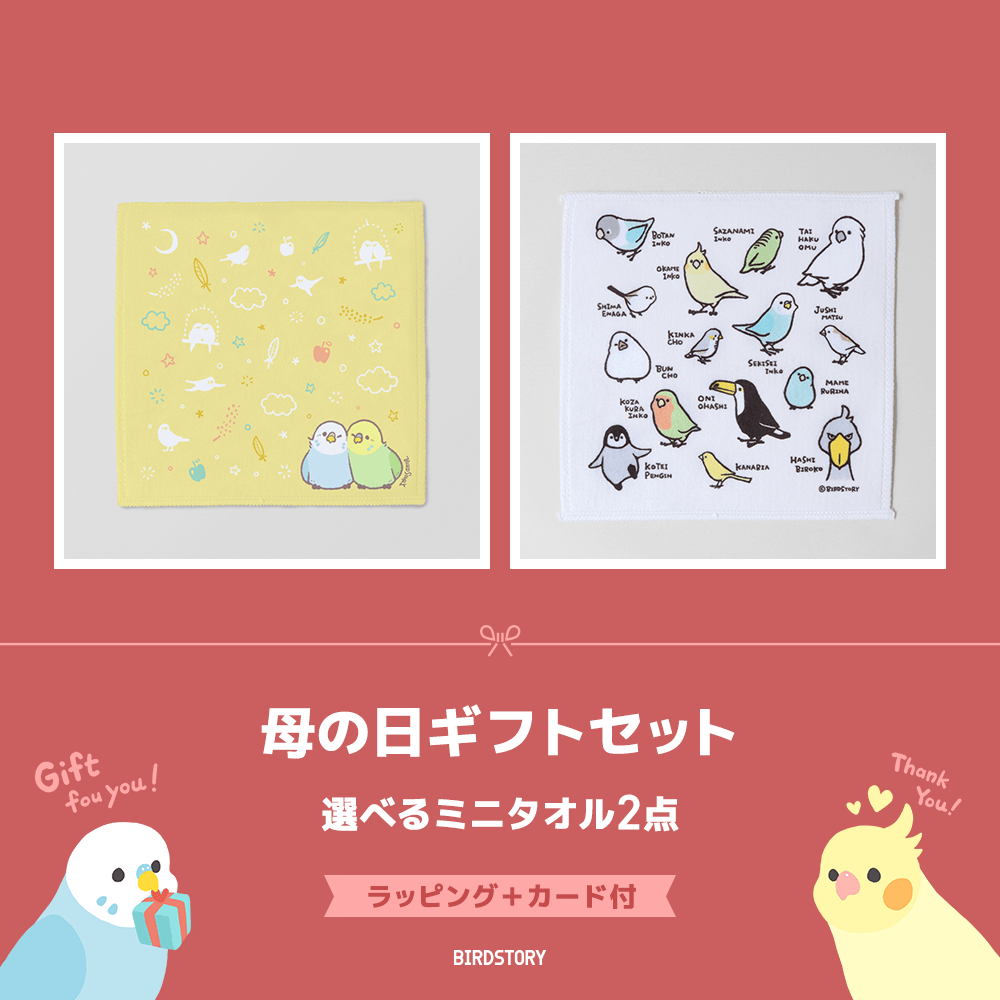 母の日ギフトセット（選べるミニタオル2点＋カード付）