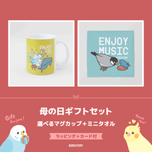 母の日ギフトセット（選べるマグカップ＋ミニタオル＋カード付）