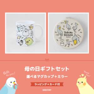 母の日ギフトセット（選べるマグカップ＋ミラー＋カード付）